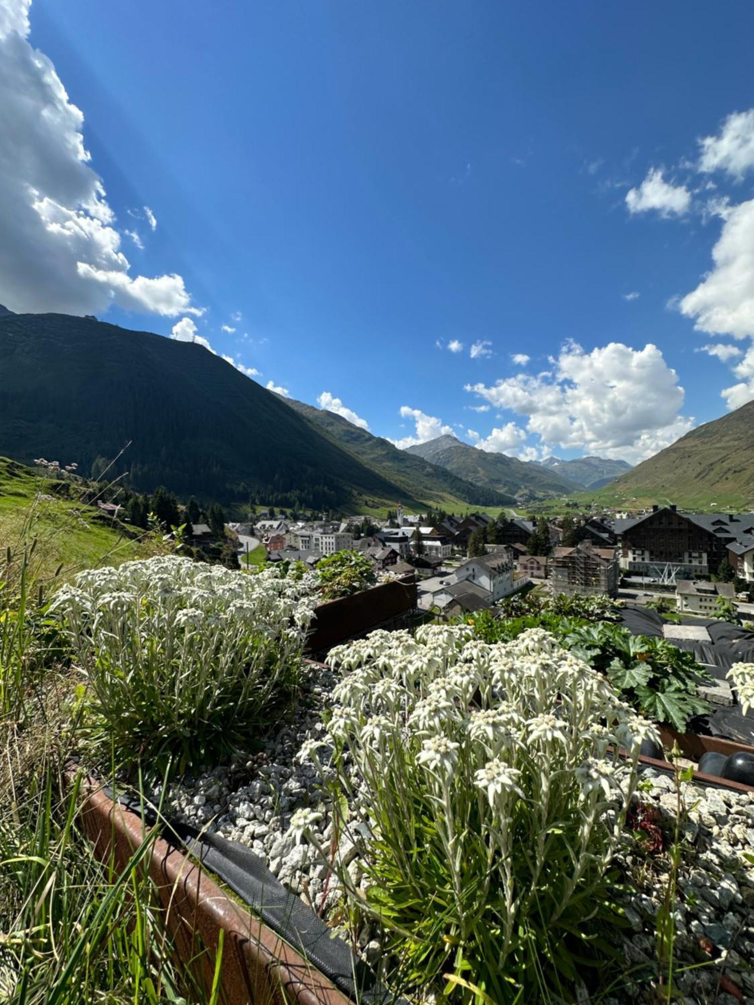 Basecamp Andermatt Villa Bagian luar foto